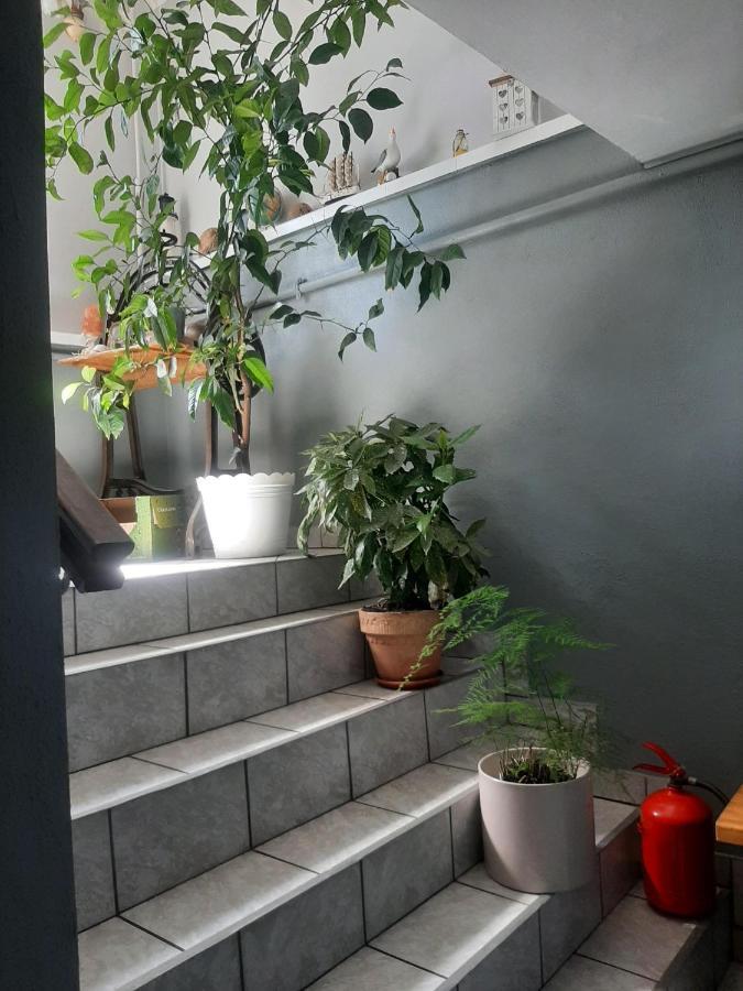Pokoje Goscinne Cuma Łeba Exterior foto