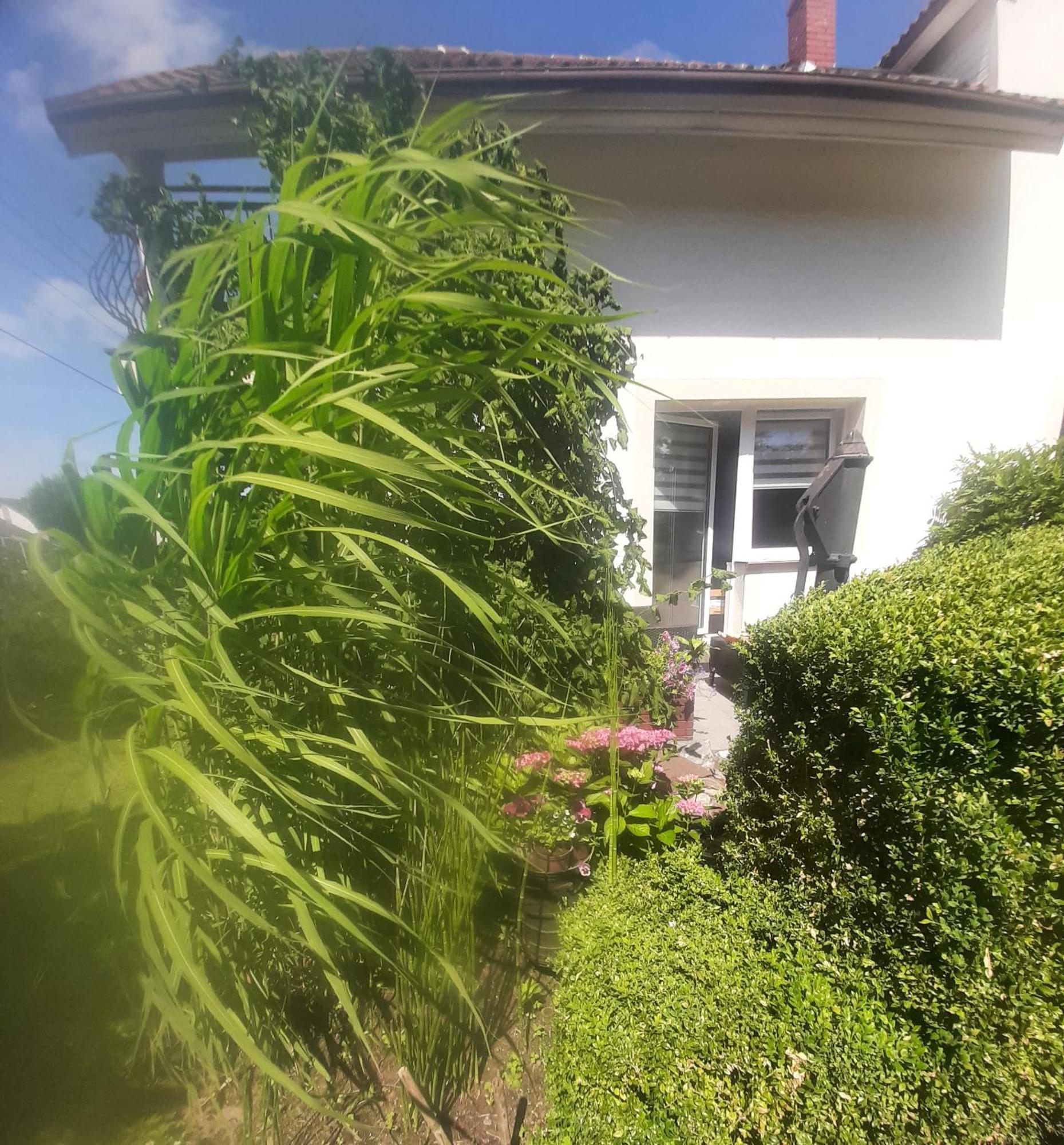 Pokoje Goscinne Cuma Łeba Quarto foto